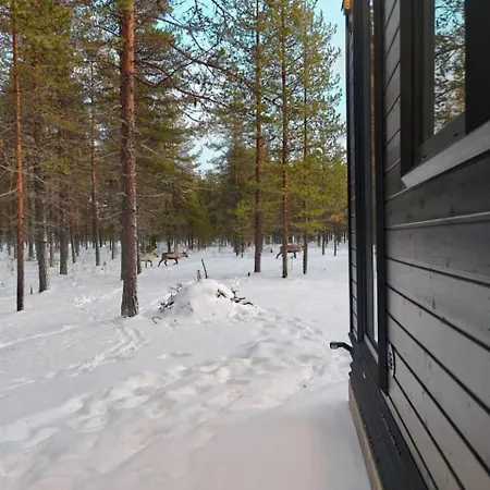 Borealis Village 5 With A Nature View, Fireplace, Sauna, Kitchen Vakantiehuis *